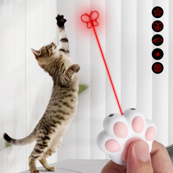 jouet laser pour chat
