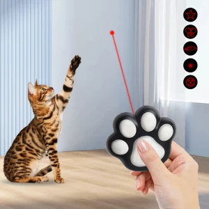 jouet laser pour chat