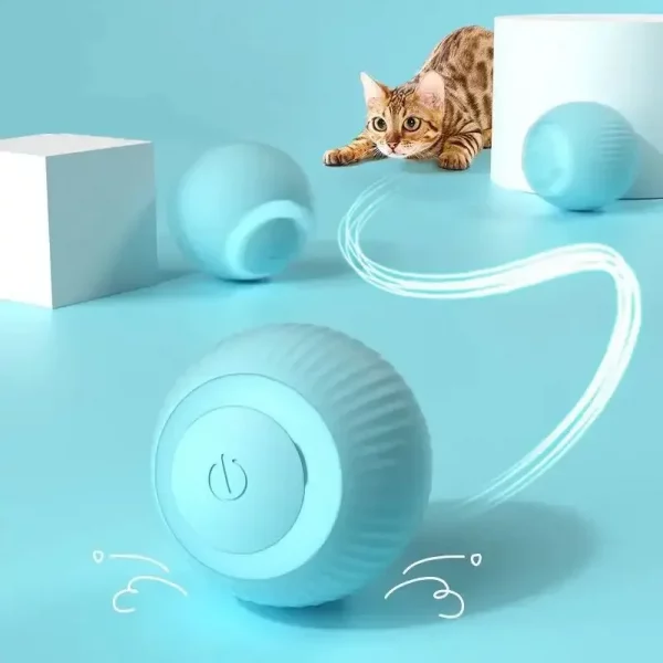 Balle roulante interactive pour chat
