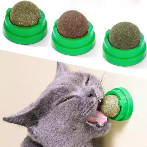 Jouet boule herbe à chat séché