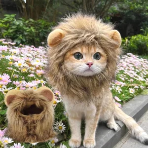 Déguisement lion pour chat