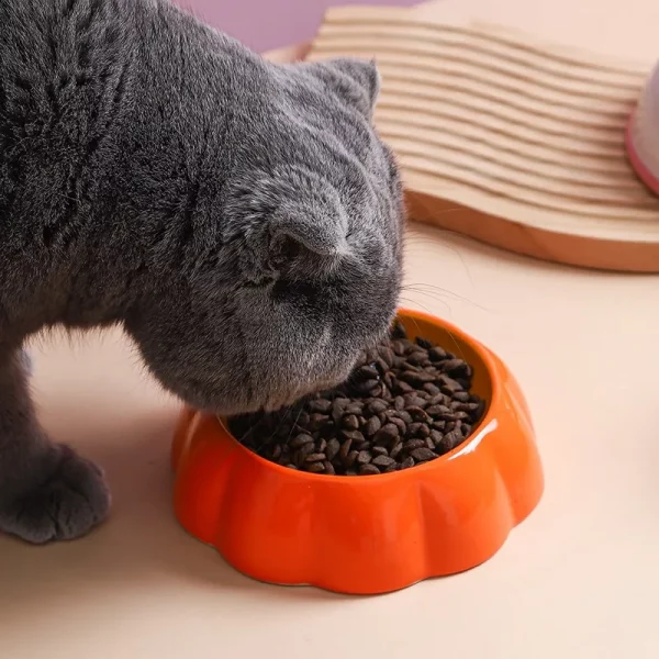 Gamelle pour chat en céramique